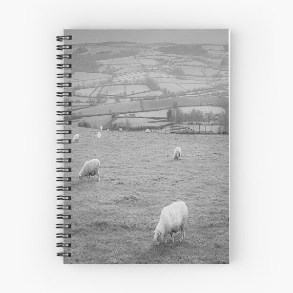 Item preview, Grazing Sheep Dorset England Infrared designed and sold by Londonimages.