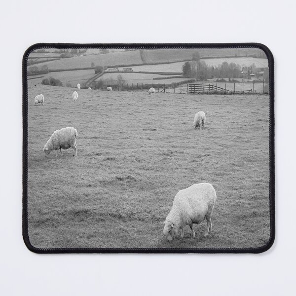 Item preview, Grazing Sheep Dorset England Infrared designed and sold by Londonimages.