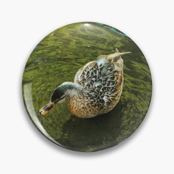 Item preview, Restful Mallard designed and sold by Trisha North.