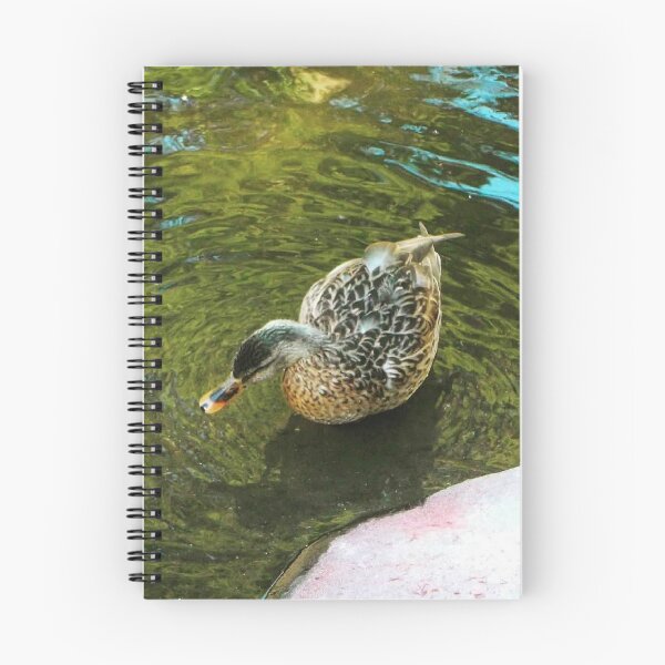 Item preview, Restful Mallard designed and sold by Trisha North.