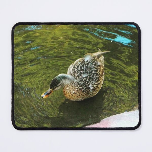 Item preview, Restful Mallard designed and sold by Trisha North.