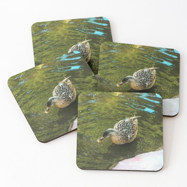 Item preview, Restful Mallard designed and sold by Trisha North.