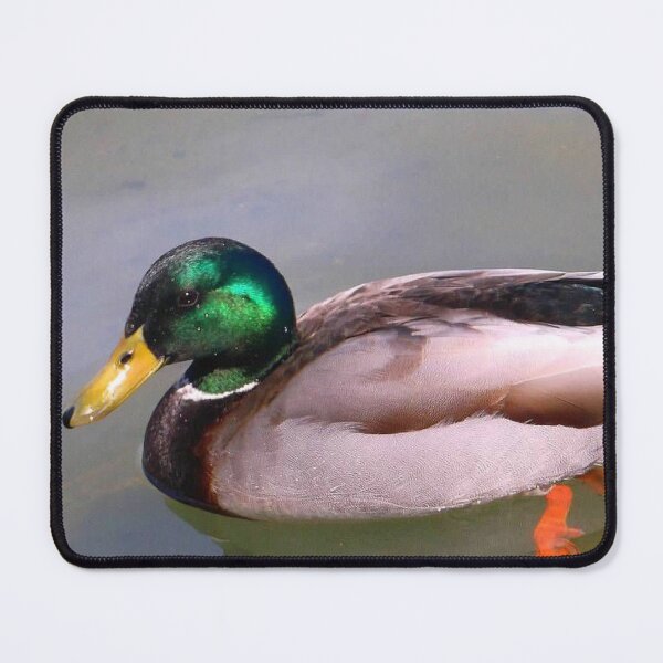 Item preview, Majestic Mallard Drake designed and sold by Trisha North.