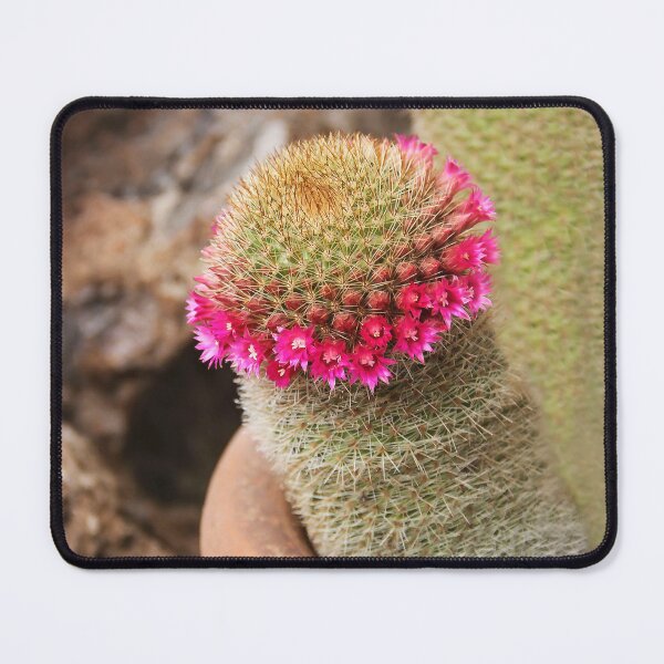 Item preview, Mammalaria in Bloom! designed and sold by heatherfriedman.