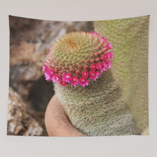 Item preview, Mammalaria in Bloom! designed and sold by heatherfriedman.
