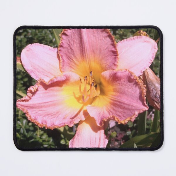 Item preview, Coral Pink Azalea designed and sold by Trisha North.
