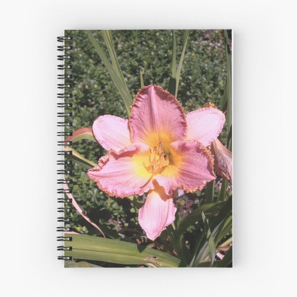 Item preview, Coral Pink Azalea designed and sold by Trisha North.
