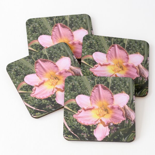 Item preview, Coral Pink Azalea designed and sold by Trisha North.