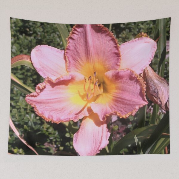 Item preview, Coral Pink Azalea designed and sold by Trisha North.
