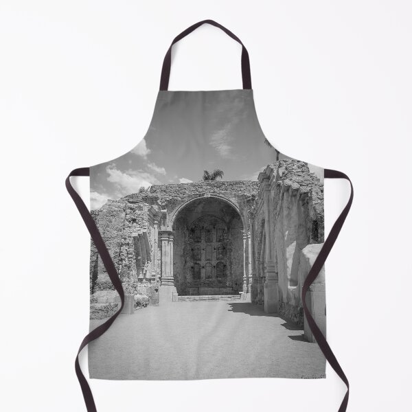 Item preview, Ruins of the Great Stone Church (1806) BW designed and sold by WrightDesignsUS.