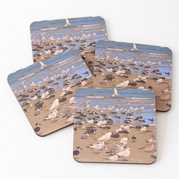 Item preview, Seagulls Gathering on Sandy Beach Hilton Head Island designed and sold by LisaWootenPhoto.