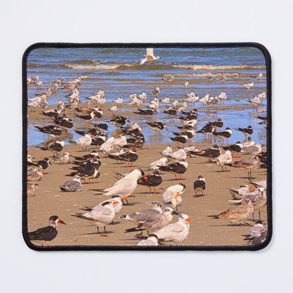 Item preview, Seagulls Gathering on Sandy Beach Hilton Head Island designed and sold by LisaWootenPhoto.