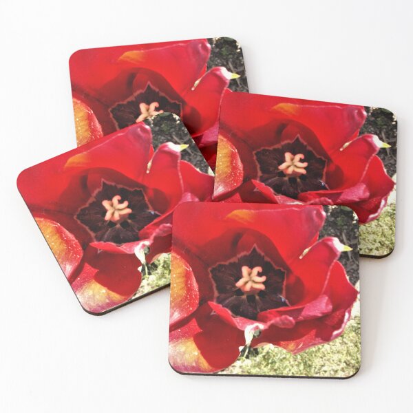 Item preview, Enchanting Red Apeldoorn Tulip designed and sold by Trisha North.