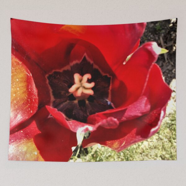 Item preview, Enchanting Red Apeldoorn Tulip designed and sold by Trisha North.