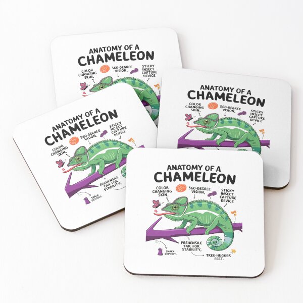 Item preview, Herpetologist Lizard Reptile Anatomy Of A Chameleon  designed and sold by PowAcademy.