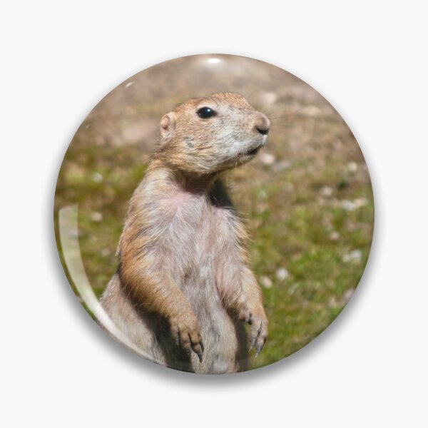 Item preview, Black-tailed Prairie Dog designed and sold by Vac1.