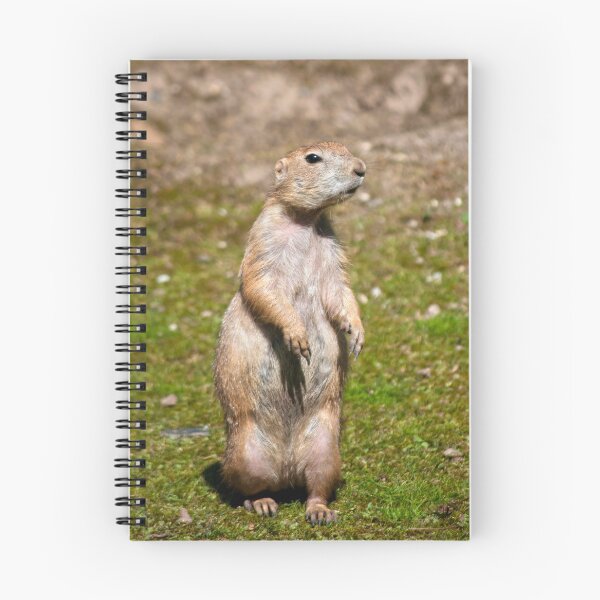 Item preview, Black-tailed Prairie Dog designed and sold by Vac1.