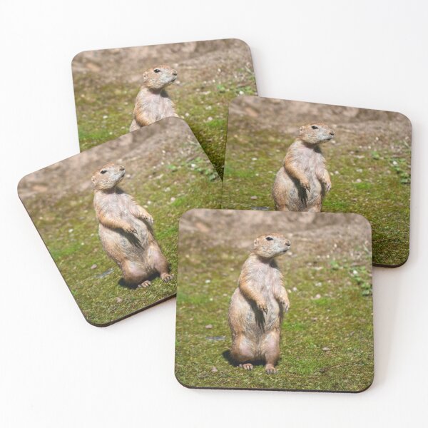 Item preview, Black-tailed Prairie Dog designed and sold by Vac1.