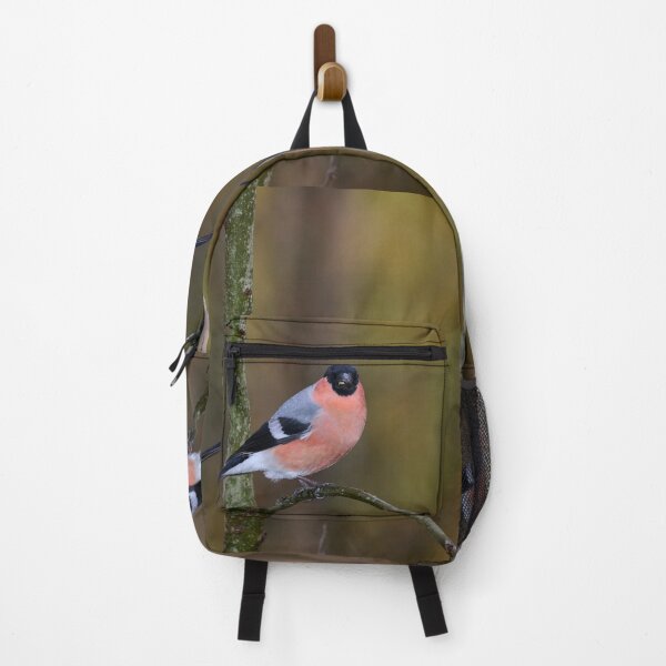 Item preview, Spotlight. Eurasian bullfinch designed and sold by Jouko Lehto Photography.