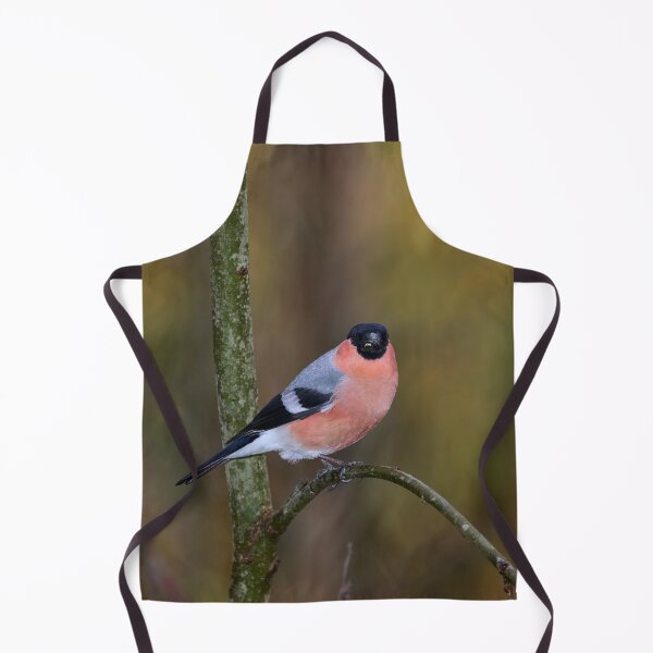 Item preview, Spotlight. Eurasian bullfinch designed and sold by Jouko Lehto Photography.
