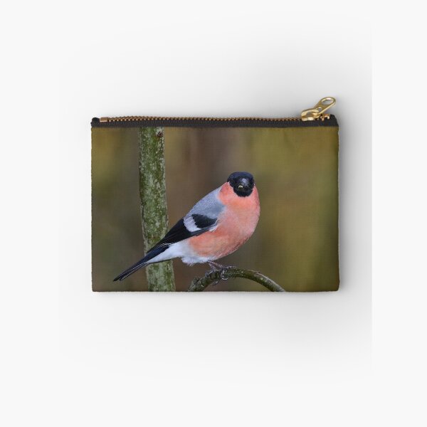 Item preview, Spotlight. Eurasian bullfinch designed and sold by Jouko Lehto Photography.