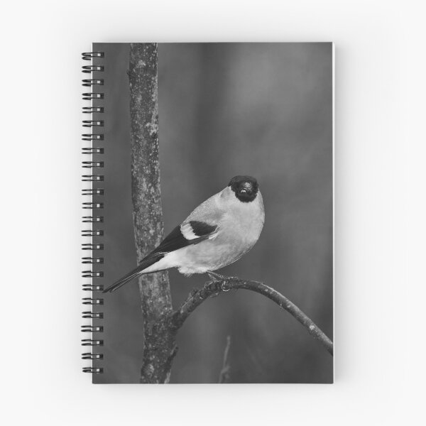 Item preview, Spotlight. Eurasian bullfinch bw designed and sold by Jouko Lehto Photography.