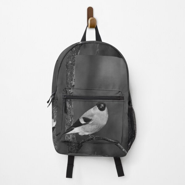 Item preview, Spotlight. Eurasian bullfinch bw designed and sold by Jouko Lehto Photography.
