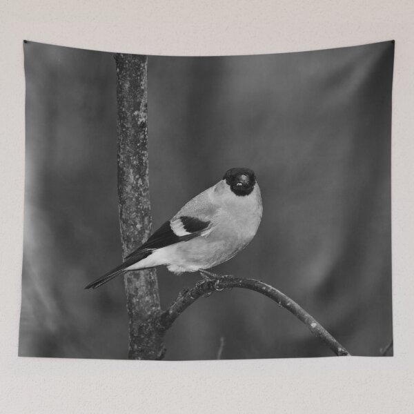Item preview, Spotlight. Eurasian bullfinch bw designed and sold by Jouko Lehto Photography.