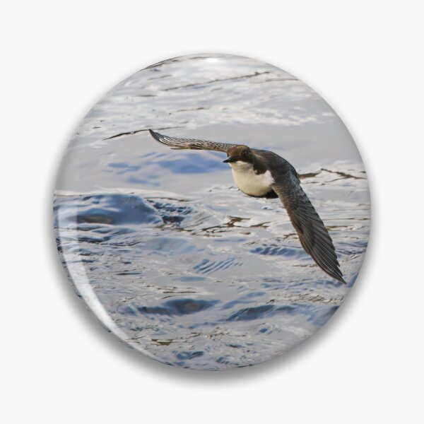 Item preview, Over the waters. White-throated dipper designed and sold by Jouko Lehto Photography.