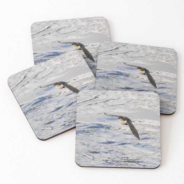 Item preview, Over the waters. White-throated dipper designed and sold by Jouko Lehto Photography.