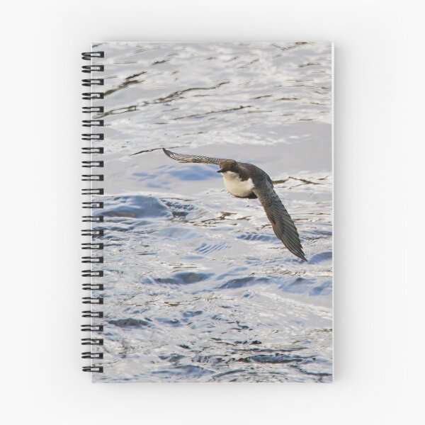 Item preview, Over the waters. White-throated dipper designed and sold by Jouko Lehto Photography.