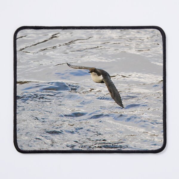 Item preview, Over the waters. White-throated dipper designed and sold by Jouko Lehto Photography.