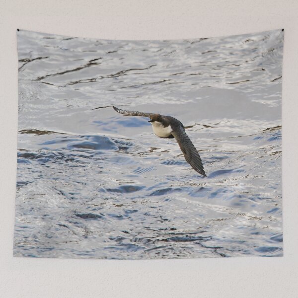 Item preview, Over the waters. White-throated dipper designed and sold by Jouko Lehto Photography.