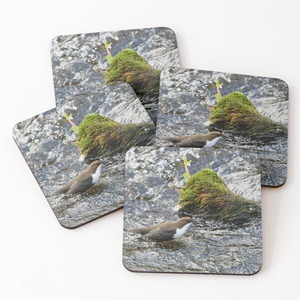Item preview, Wet feet. White-throated dipper designed and sold by Jouko Lehto Photography.