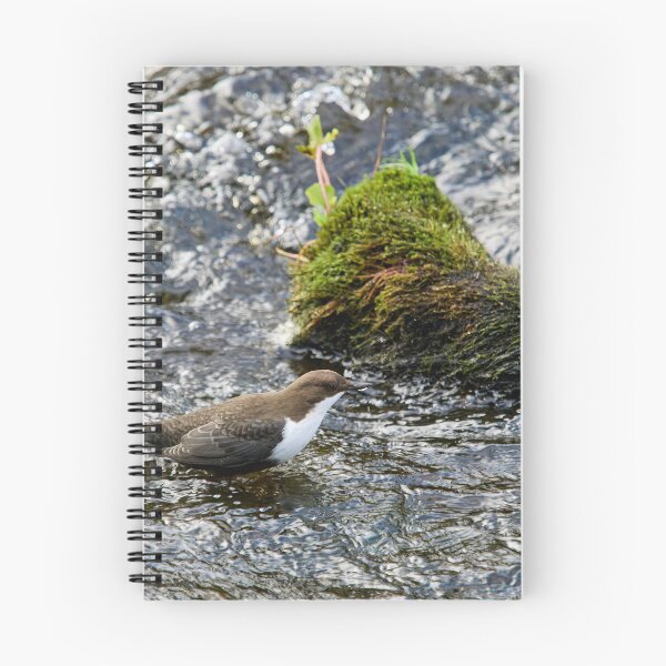 Item preview, Wet feet. White-throated dipper designed and sold by Jouko Lehto Photography.
