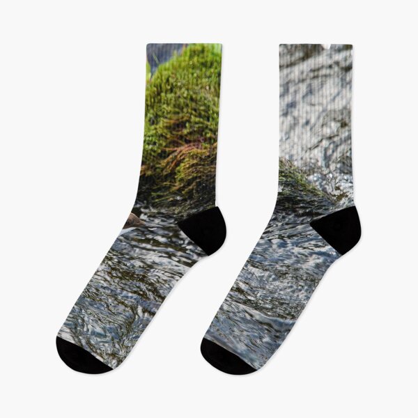 Item preview, Wet feet. White-throated dipper designed and sold by Jouko Lehto Photography.