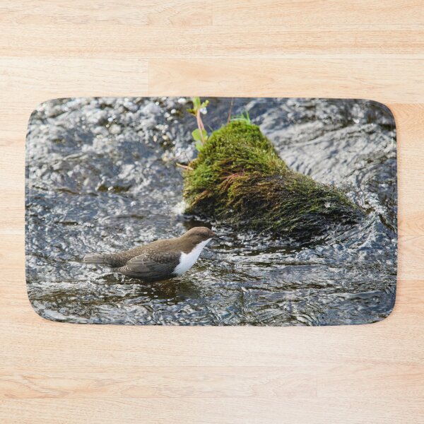 Item preview, Wet feet. White-throated dipper designed and sold by Jouko Lehto Photography.