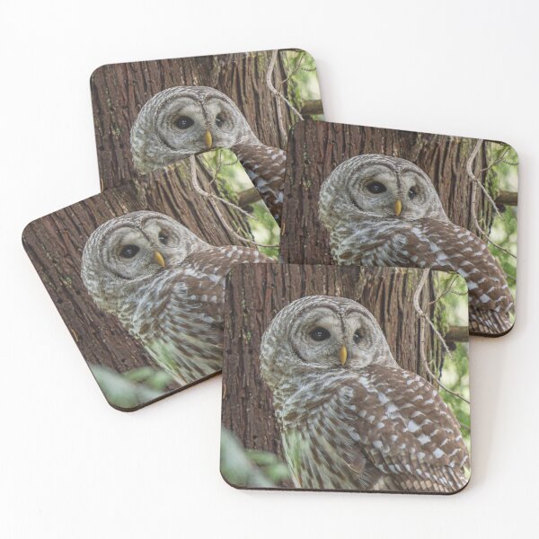 Item preview, Barred Owl looking to the side designed and sold by lisavonbiela.