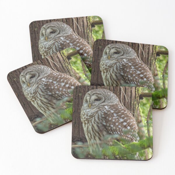 Item preview, Barred Owl falling asleep in tree designed and sold by lisavonbiela.
