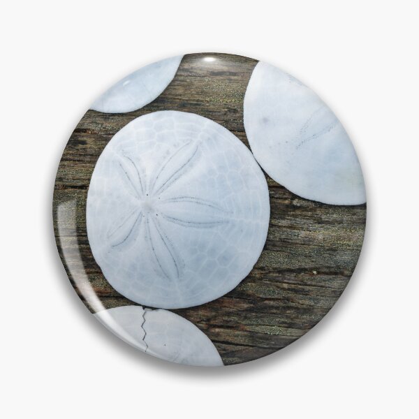 Item preview, Sand dollars on weathered wood designed and sold by lisavonbiela.