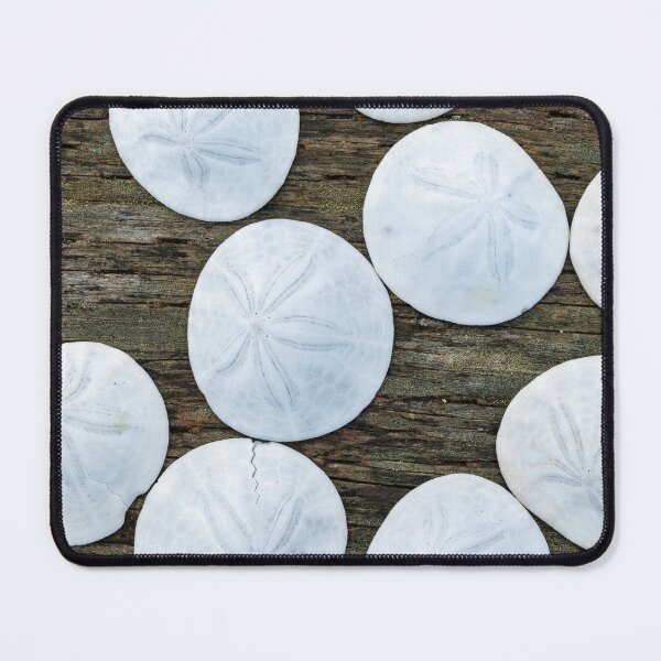 Item preview, Sand dollars on weathered wood designed and sold by lisavonbiela.
