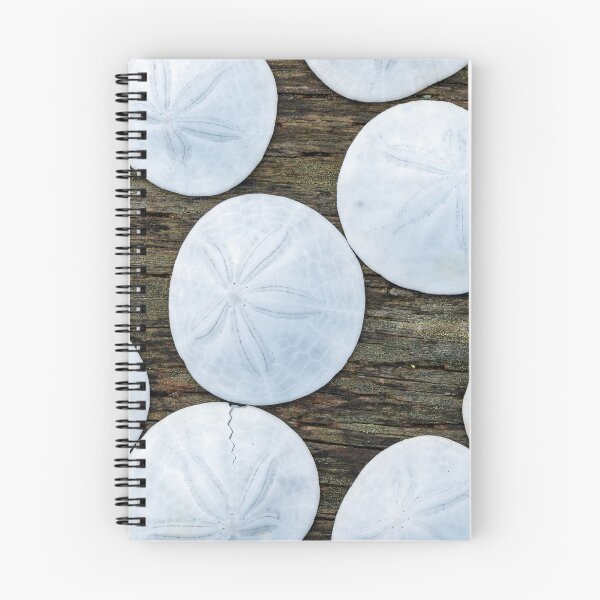 Item preview, Sand dollars on weathered wood designed and sold by lisavonbiela.