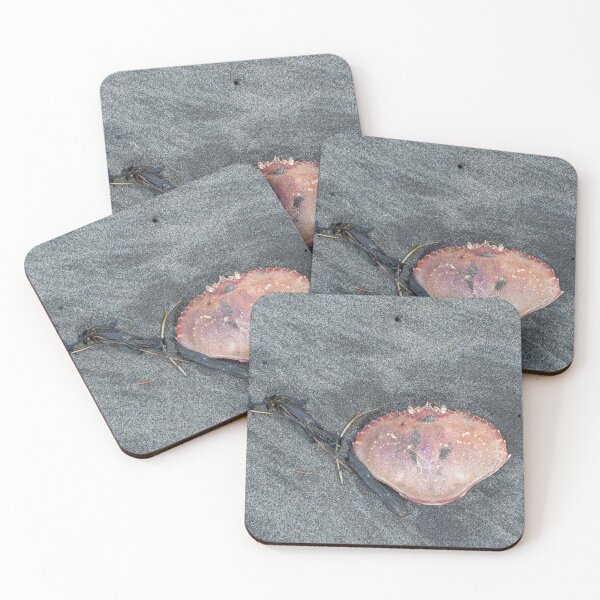 Item preview, Dungeness crab shell beach composition designed and sold by lisavonbiela.