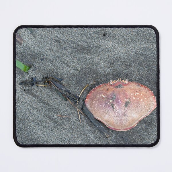 Item preview, Dungeness crab shell beach composition designed and sold by lisavonbiela.