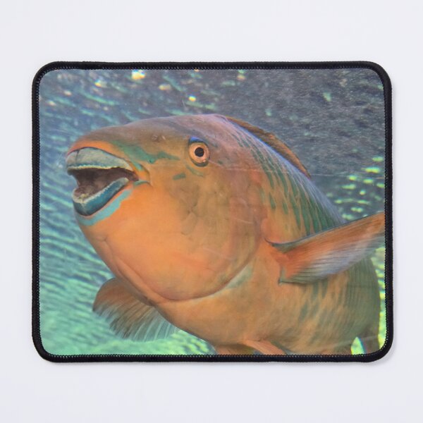 Item preview, Bright Colorful Parrot Fish in Sparkling Blue and Green Water designed and sold by CoastalCalmCo.