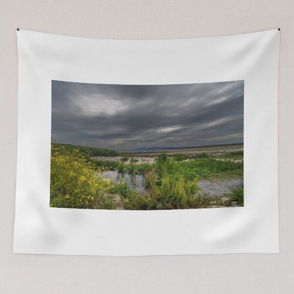 Item preview, St Ninians Beach Bute designed and sold by RJW Images.