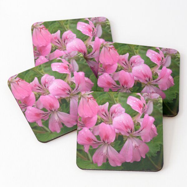 Item preview, Pink Geranium (Pelargonium) Flowers designed and sold by Douglas E. Welch Design and Photography.