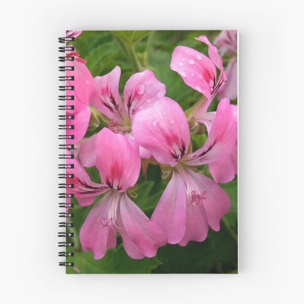 Item preview, Pink Geranium (Pelargonium) Flowers designed and sold by Douglas E. Welch Design and Photography.