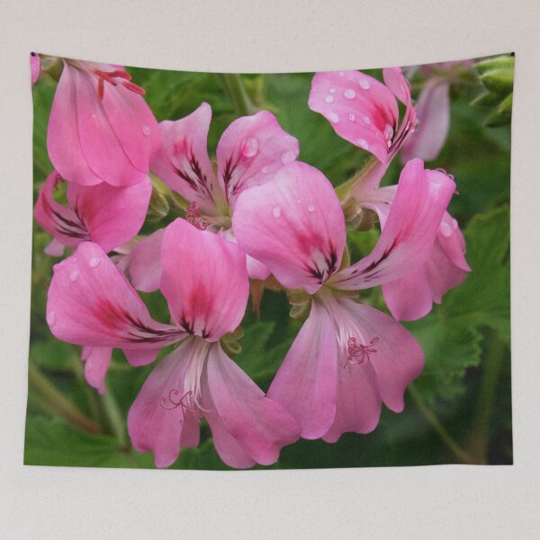 Item preview, Pink Geranium (Pelargonium) Flowers designed and sold by Douglas E. Welch Design and Photography.