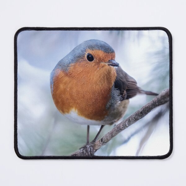 Item preview, Xmas Robin designed and sold by Tom McPherson Photography.